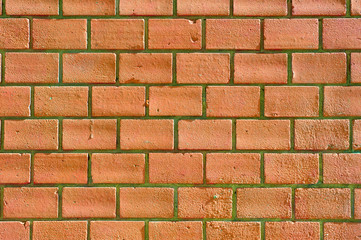 Brocks wall