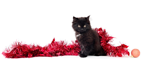 Black Kitten christmas  decoration