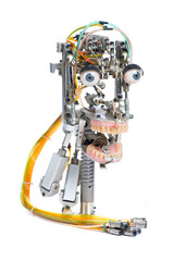 Robot head