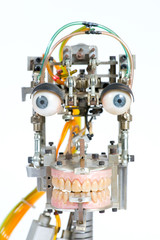 Robot head