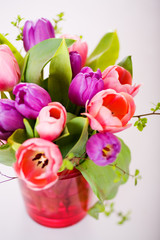 bunch of tulips