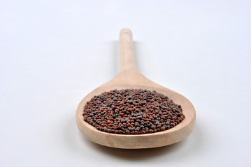 brown mustard seeds are tiny round seed