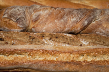bread
