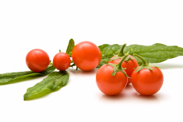 Tomates cherry 26