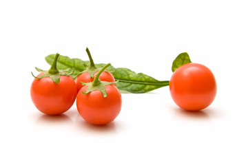 Tomates cherry 27