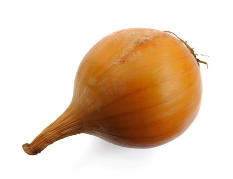 Onion, isolated