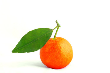 Tangerine with leaves on a white background