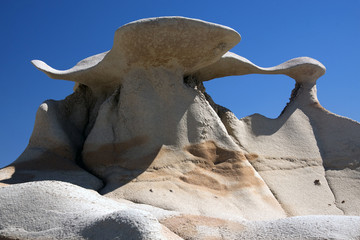 Bisti 8