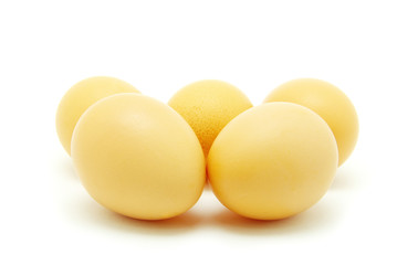 eggs
