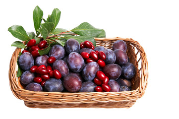 Juicy autumn fruits in the basket..