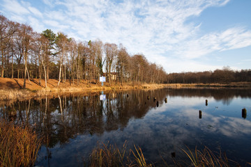 Picturesque autumn landscape