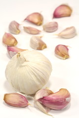 Knoblauch mit Zehen