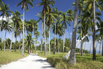 malapascua island roads