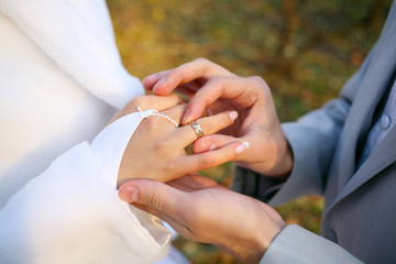 A wedding etude is in colors, weddings rings