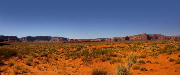 Desert landscape