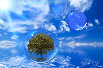 bolla ecologica