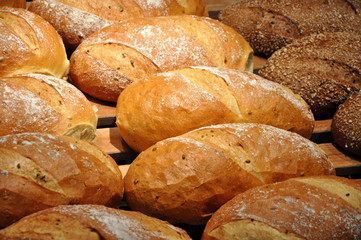 Freshly cooked bread