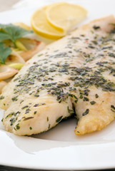 Pangasius Filet