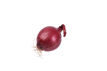 Fresh red onion