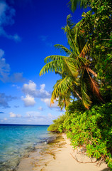 Tropical Paradise at Maldives