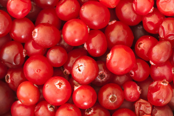 cowberry