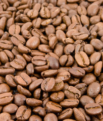 coffee beans