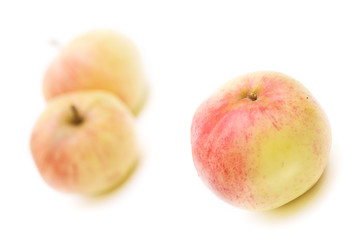 Apples