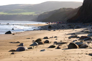 Obraz premium Robin's Hood Bay