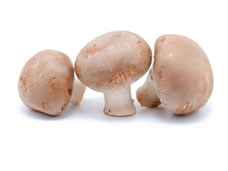 fresh mushrooms on  white background