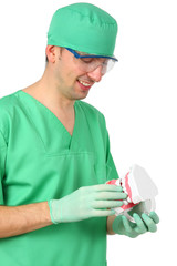 Dentist showing a big reproduction model of teeth