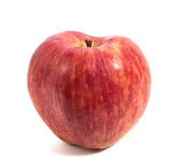 fresh red apple