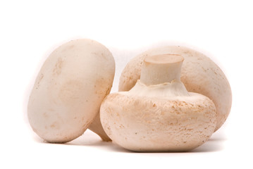 Fresh mushrooms isolated on a white background