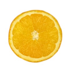 orange slice on white background.