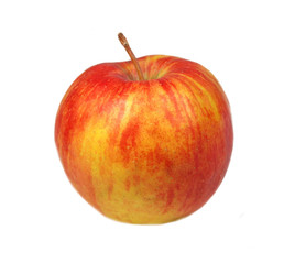 Red apple on white background