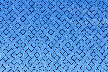 Fototapeta premium wire fence