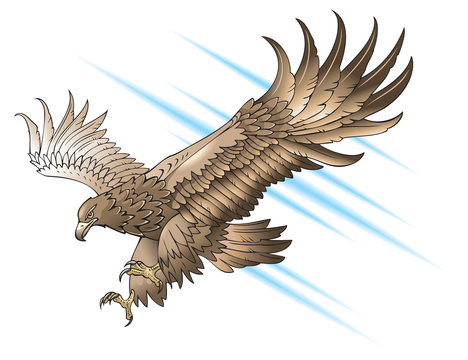 Swooping Eagle with large wings,gradient fill, vector