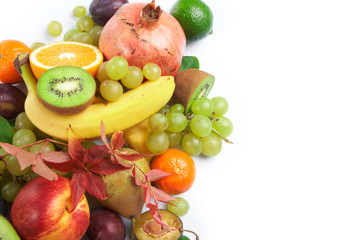 fruit