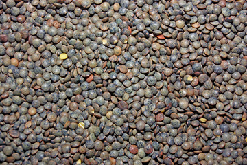 lentilles