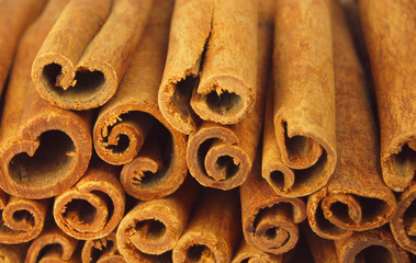 Cinnamon bark abstract background