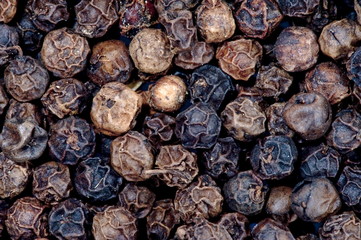 Black Pepper