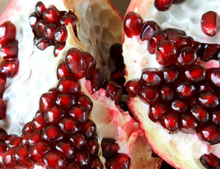 pomegranate