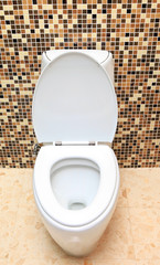 Lavatory pan