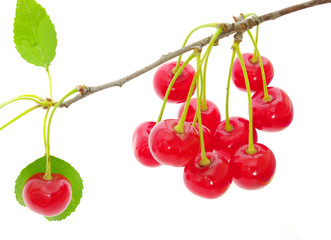 cherries