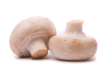 Fresh mushrooms isolated on a white background