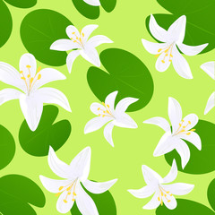 Seamless lily background