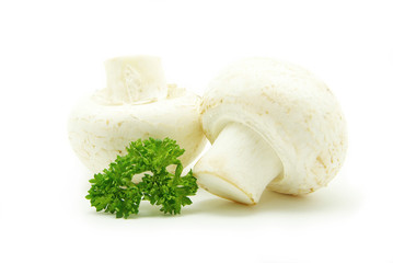 mushrooms