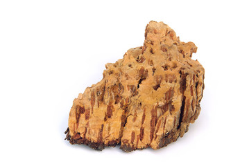 Kork freigestellt - cork isolated 01
