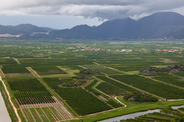 Agricultural fields of Dalmatia