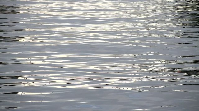 ondas de agua