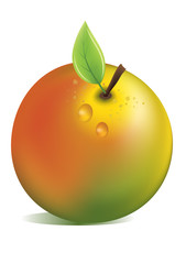 Vector ripe and fresh apple